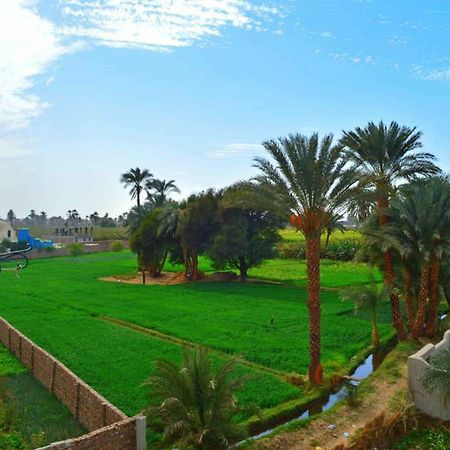 Farida Apartments Luksor Dış mekan fotoğraf